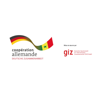 PARTENAIRE PRINCIPAL | GIZ