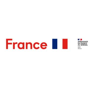 PARTENAIRE PRINCIPAL | Ambassade de France au Sénégal